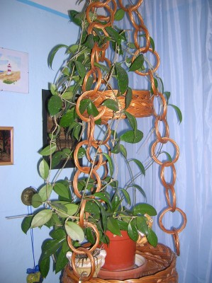 DSCN1209.JPG