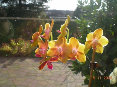 DSCN60060001.JPG
