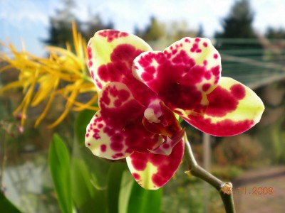DSCN60080001.JPG