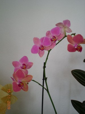 DSCN60100001.JPG