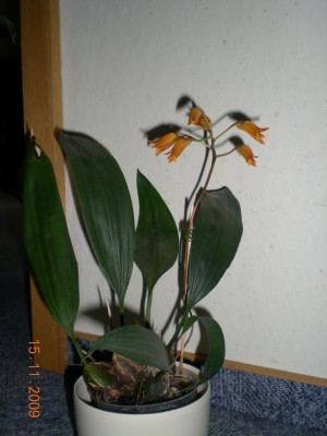 DSCN60180001.JPG