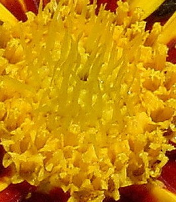 Kopie von PIC_1421.JPG