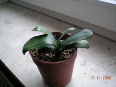 DSCN60250001.JPG