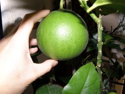 PB180006.JPG