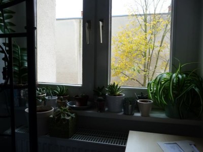 P1020267_600_450.jpg