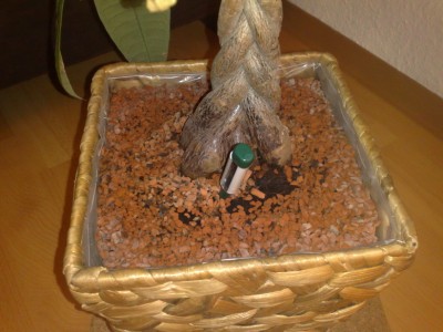 08112009550_Bildgröße ändern.jpg