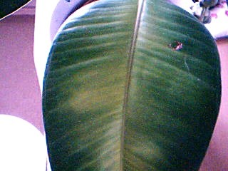 Picture 656.jpg