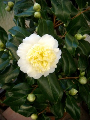 DSCN0427.JPG