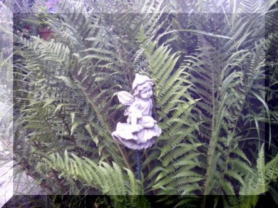 PICT0028.JPG