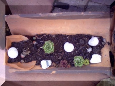 PICT0053.JPG