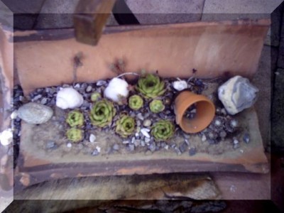 PICT0052.JPG