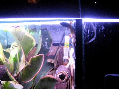 20091123_0002.JPG