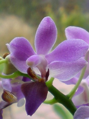 RSCN60670001_1.JPG