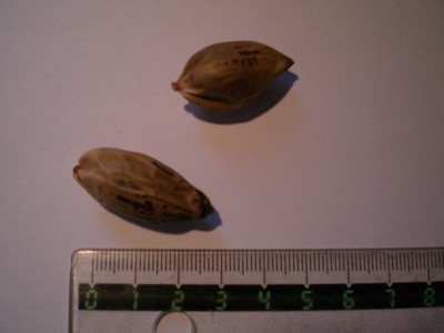 CIMG2485.JPG