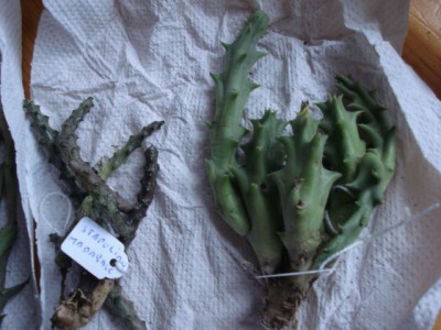 November 2009 054.jpg