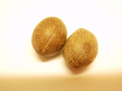 PB200011.JPG