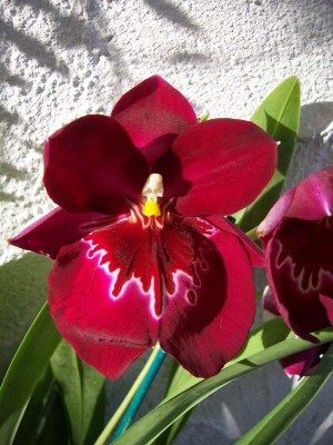 100_5753.JPG