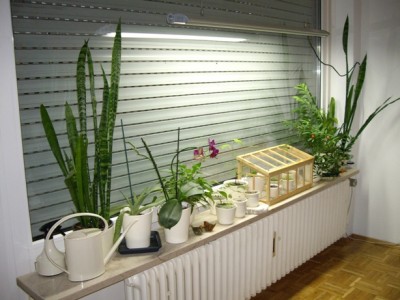Wohnzimmer.jpg