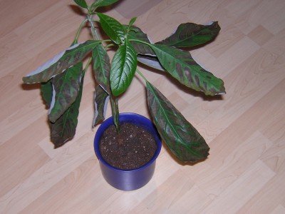 DSCN3316.JPG