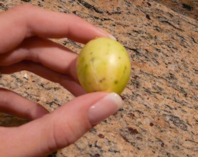 samen afrika 002.JPG