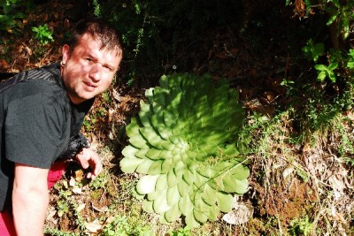 Web Madeira2007 (437).jpg