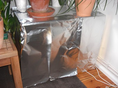 Pflanzenlampe 2009.11.28 1.JPG