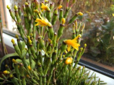 BILD0344b.JPG