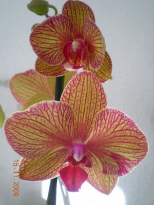 DSCN60090001.JPG
