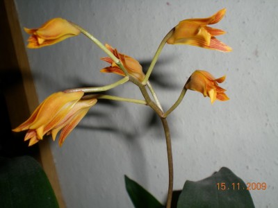 DSCN60200001.JPG