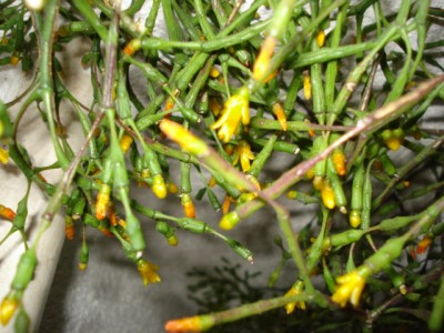 November 2009 082.jpg