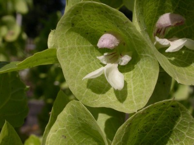 rätsel 091127 komplett.JPG