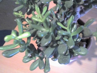 30-11-09_0925.jpg