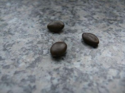 BILD0357.JPG
