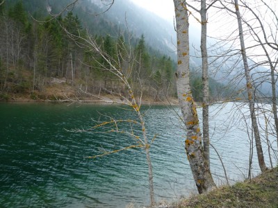 Plansee Tirol.JPG
