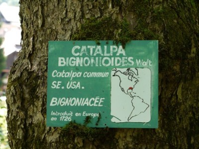 1863-botanische-namen.jpg
