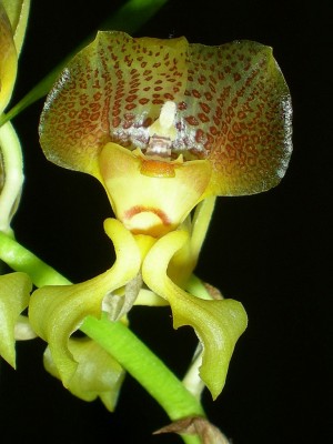 RSCN60980001.JPG