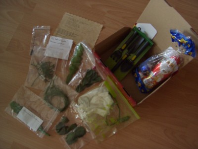 von meinem Wichtel 006.jpg