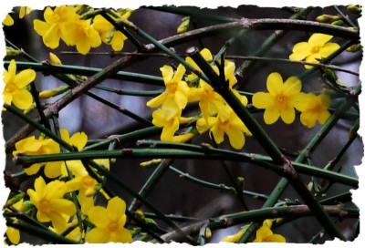 2009-12-04 165klein.jpg