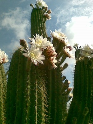 Bild081.jpg