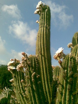 Bild080.jpg