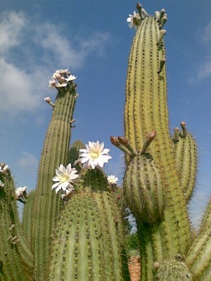 Bild078.jpg