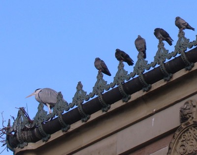 aber da musste ich schmunzeln.jpg