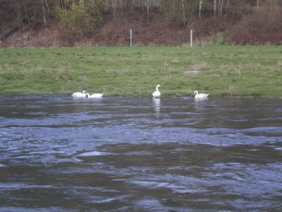 IMGP0230_Bildgröße ändern.JPG