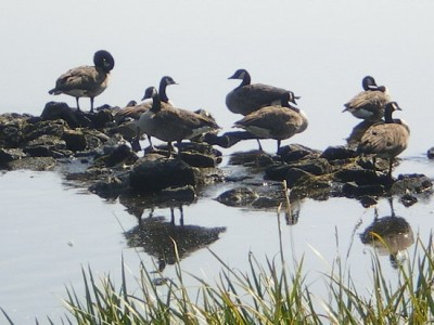 IMGP0447_Bildgröße ändern.JPG