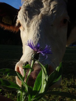 gleich ist sie weg....1.jpg