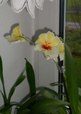 DSCN61160001.JPG