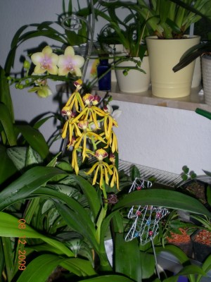 DSCN61150001.JPG