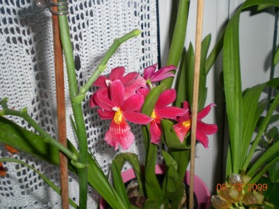 DSCN61140001.JPG