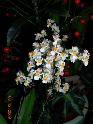 DSCN61080001.JPG
