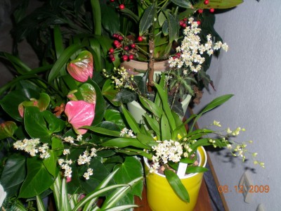 DSCN61070001.JPG